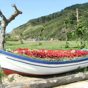 Meet your Posher, Monique